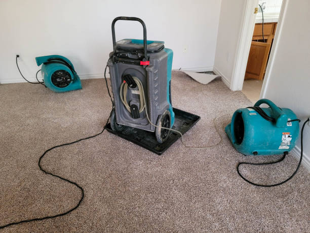 Best Water damage repair service  in Santa Cruz, CA