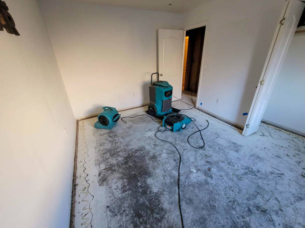 Best Fire Damage Restoration  in Santa Cruz, CA