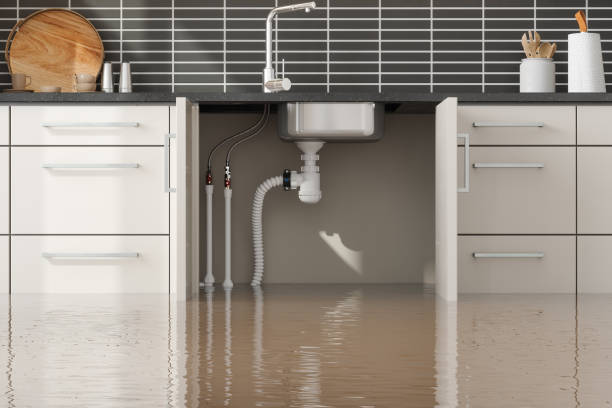 Best Water damage cleanup near me  in Santa Cruz, CA