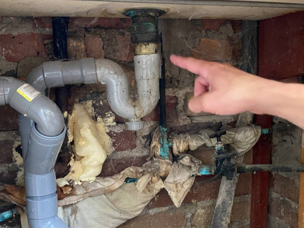 Best Water damage contractors near me  in Santa Cruz, CA