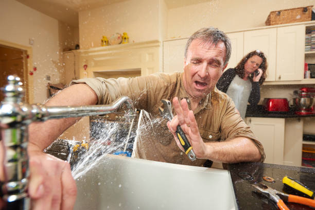 Best Mold removal after water damage  in Santa Cruz, CA